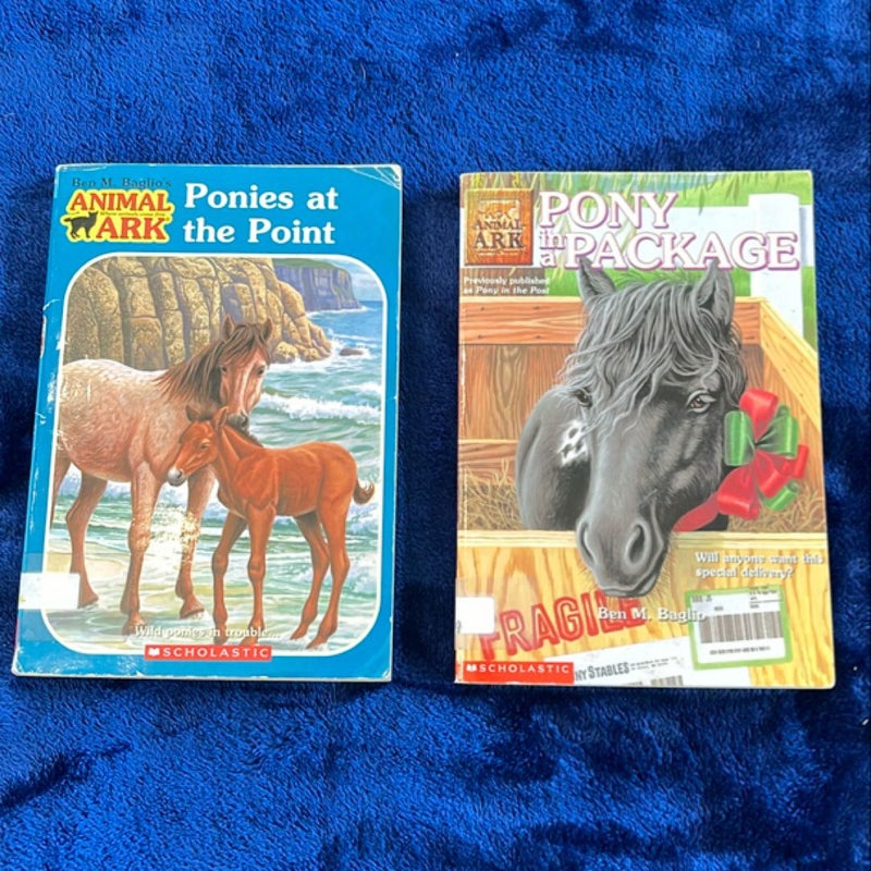 BOOK BUNDLE: Ponies at the Point and Pony in a Package