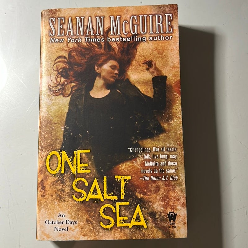 One Salt Sea