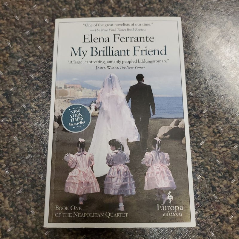 My Brilliant Friend