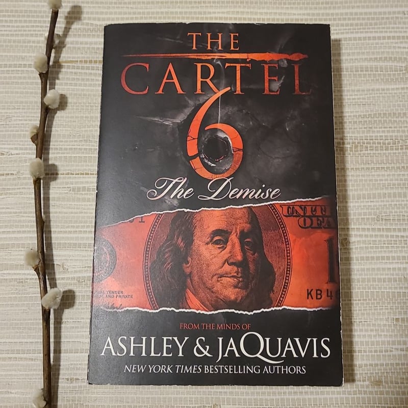 The Cartel 6 the Demise by Ashley & Ashley &