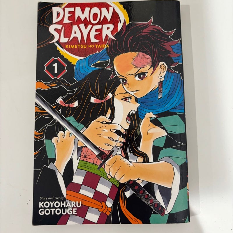 Demon Slayer: Kimetsu No Yaiba, Vol. 1