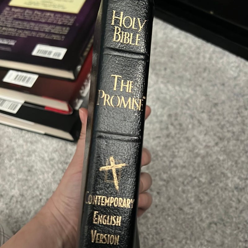 Holy bible The Promise, contemporary English version