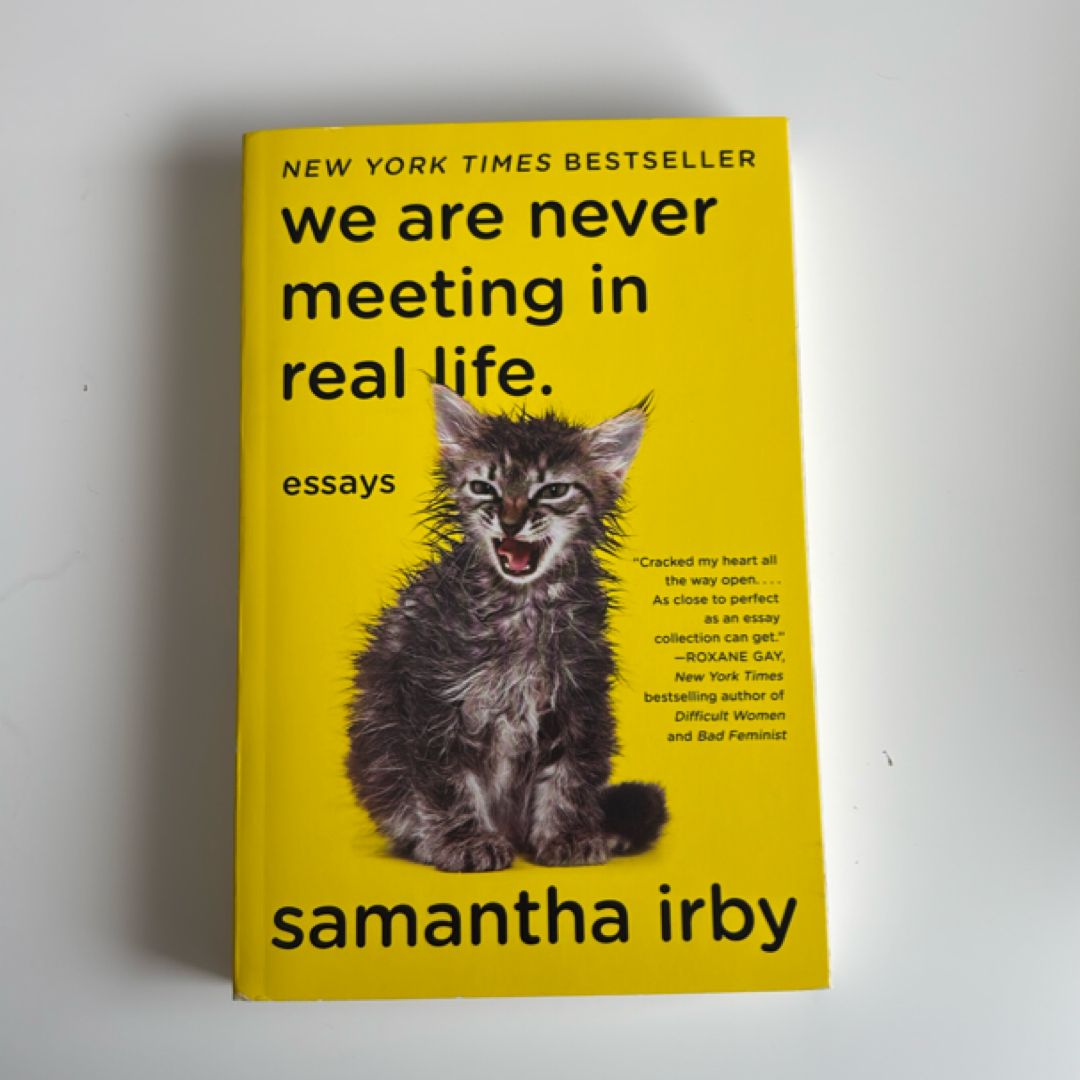 We Are Never Meeting in Real Life