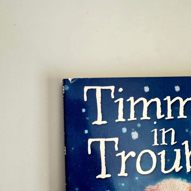 Timmy in Trouble