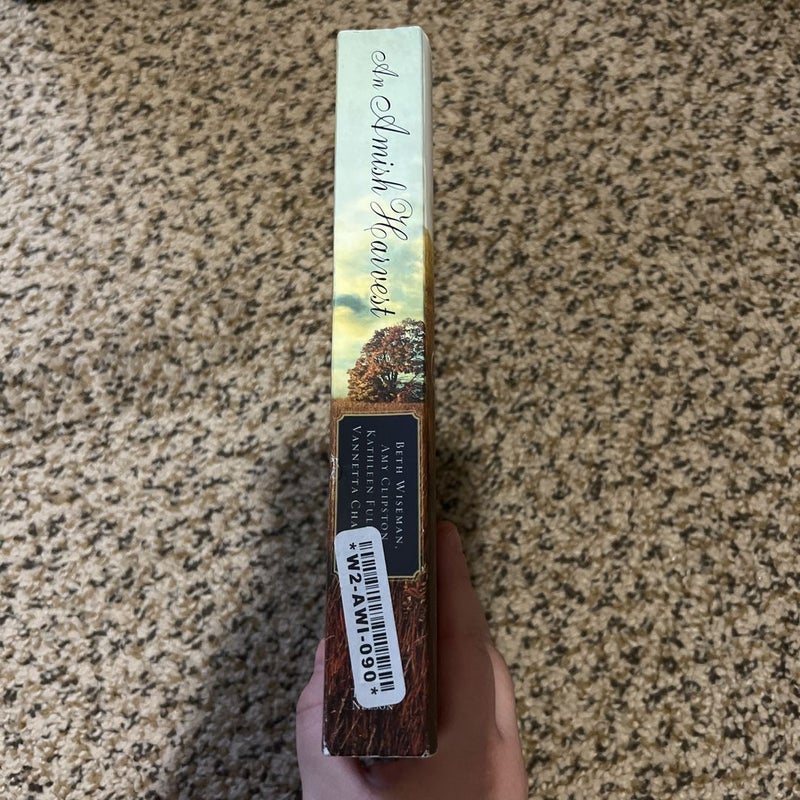 An Amish Harvest