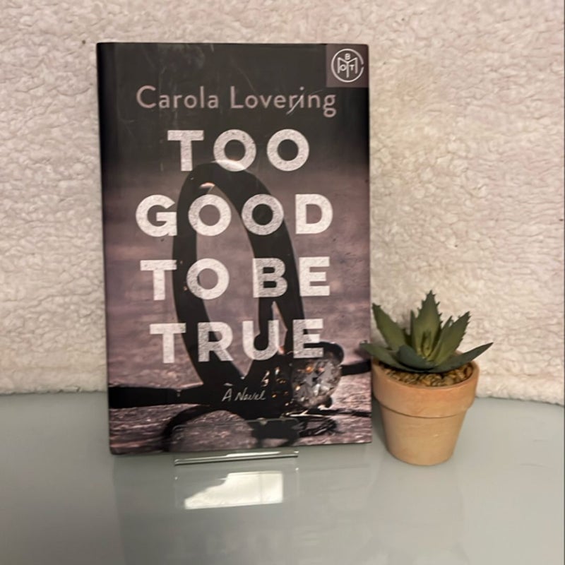 Too Good to Be True