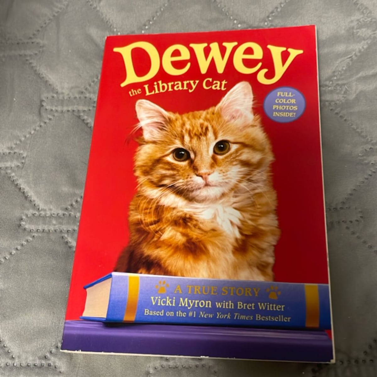 Dewey the Library Cat: a True Story by Vicki Myron, Bret Witter