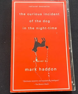 The Curious Incident of the Dog in the Night-Time