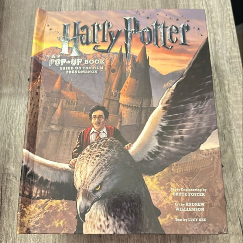 Harry Potter: a Pop-Up Book