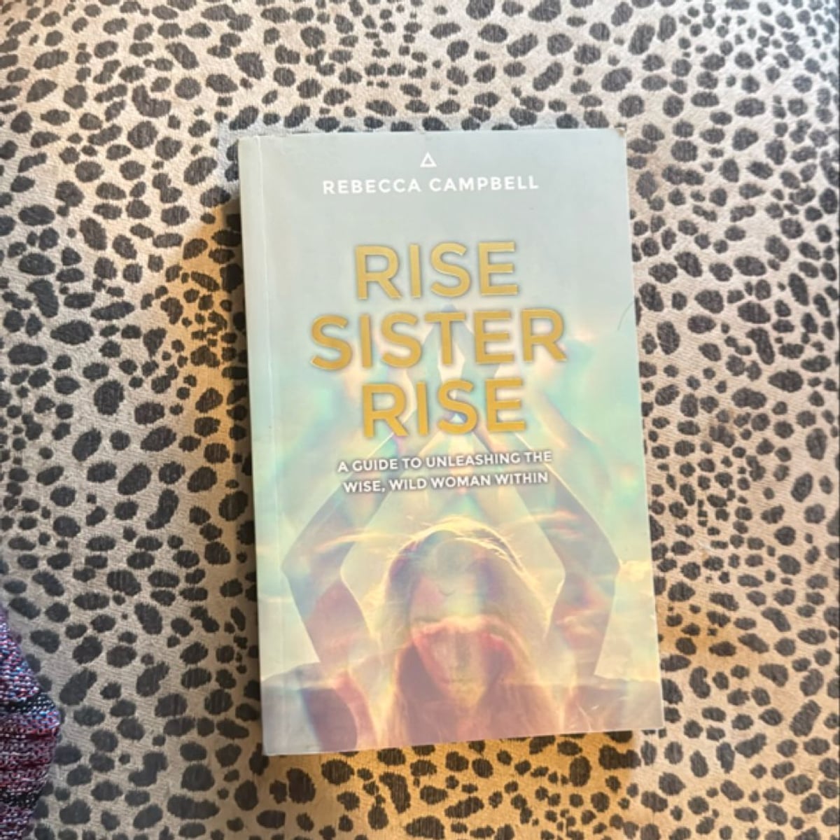 Rise Sister Rise by Rebecca Campbell