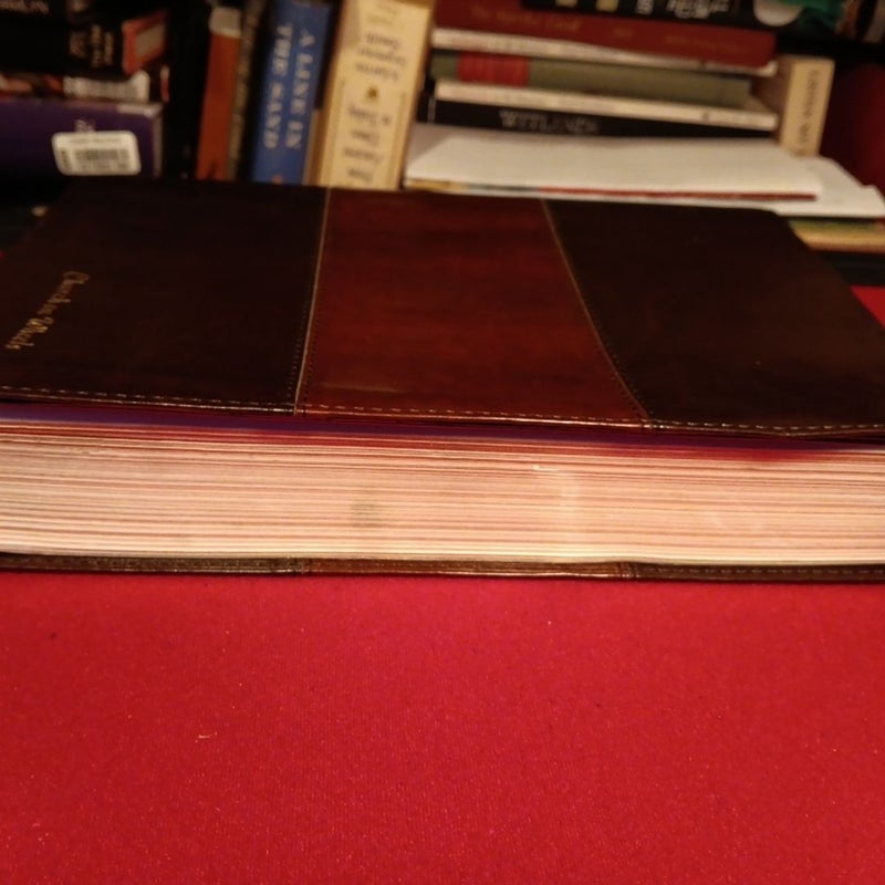 NIV Rainbow Study Bible, Saddle Brown LeatherTouch