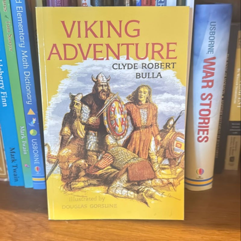 Viking Adventure 