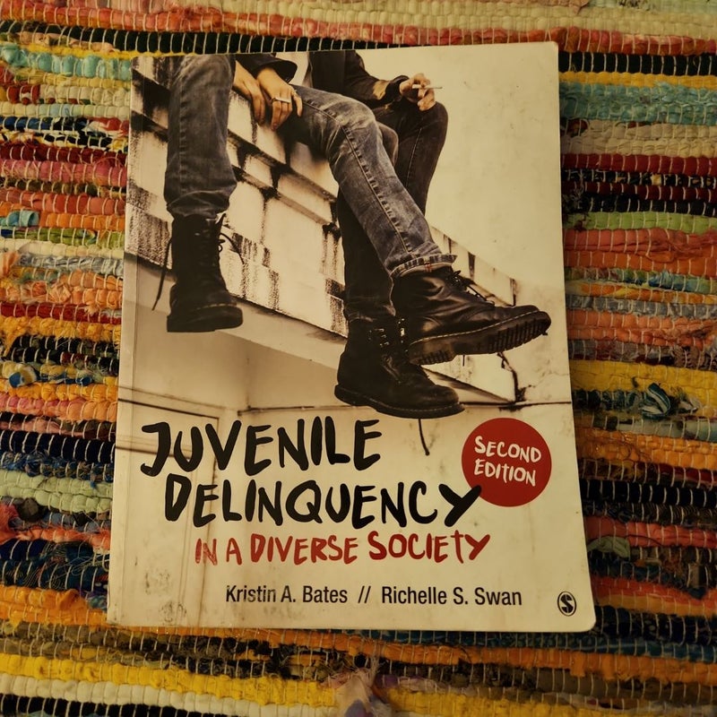 Juvenile Delinquency in a Diverse Society