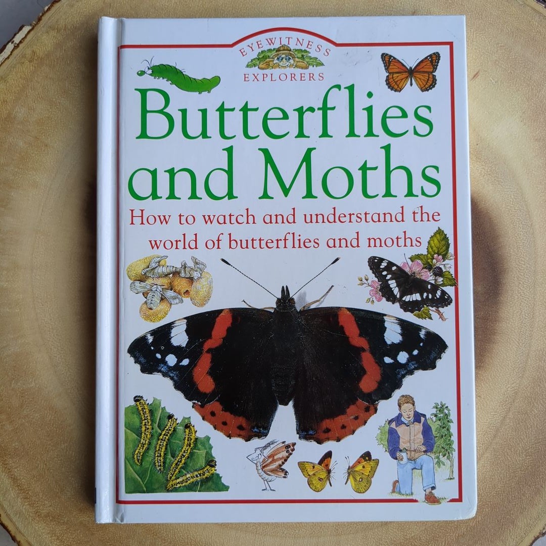 Butterflies and Moths