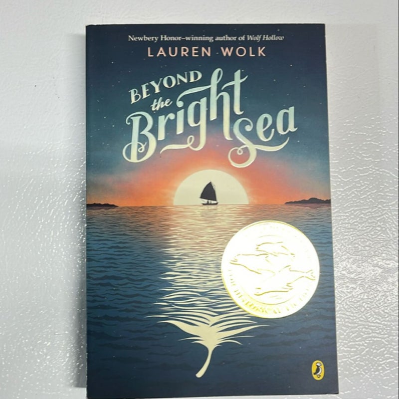 Beyond the Bright Sea