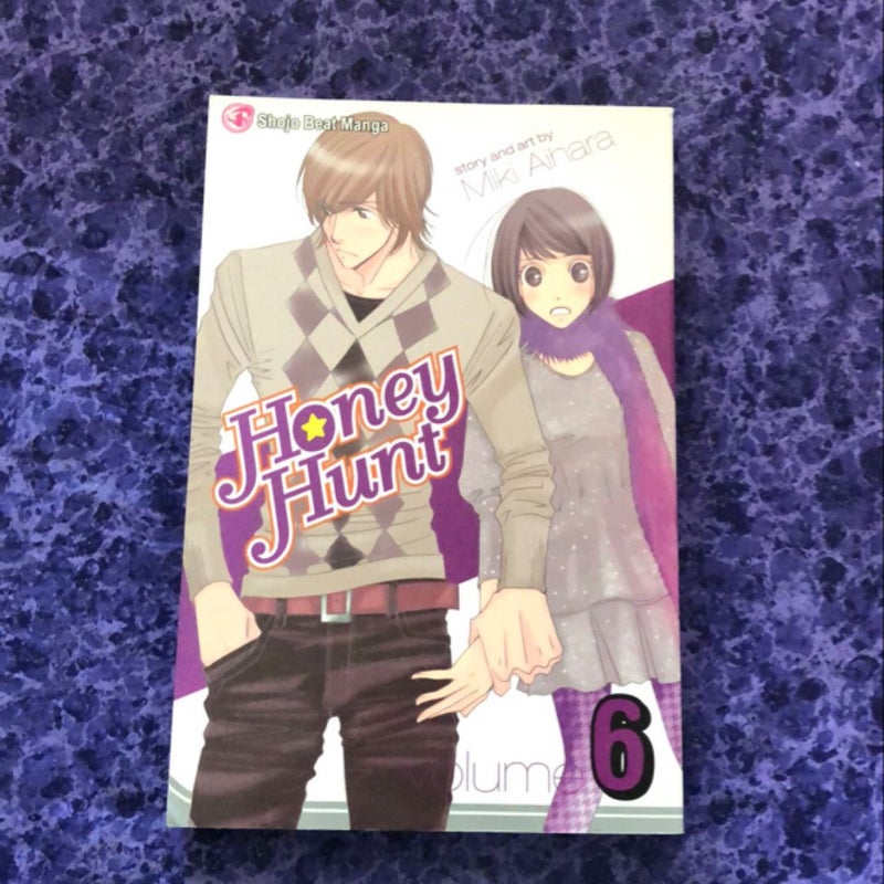 Honey Hunt, Vol. 6