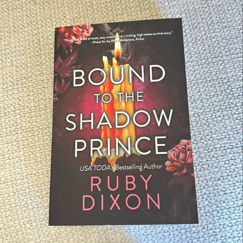 Bound to the Shadow Prince