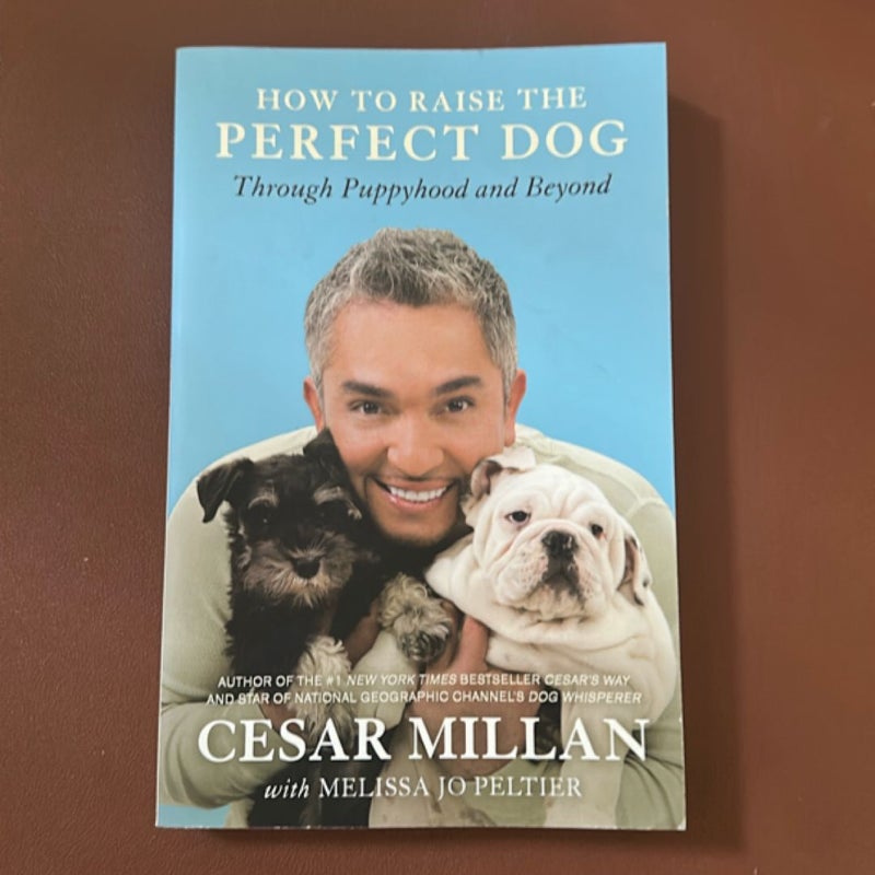 How to Raise the Perfect Dog