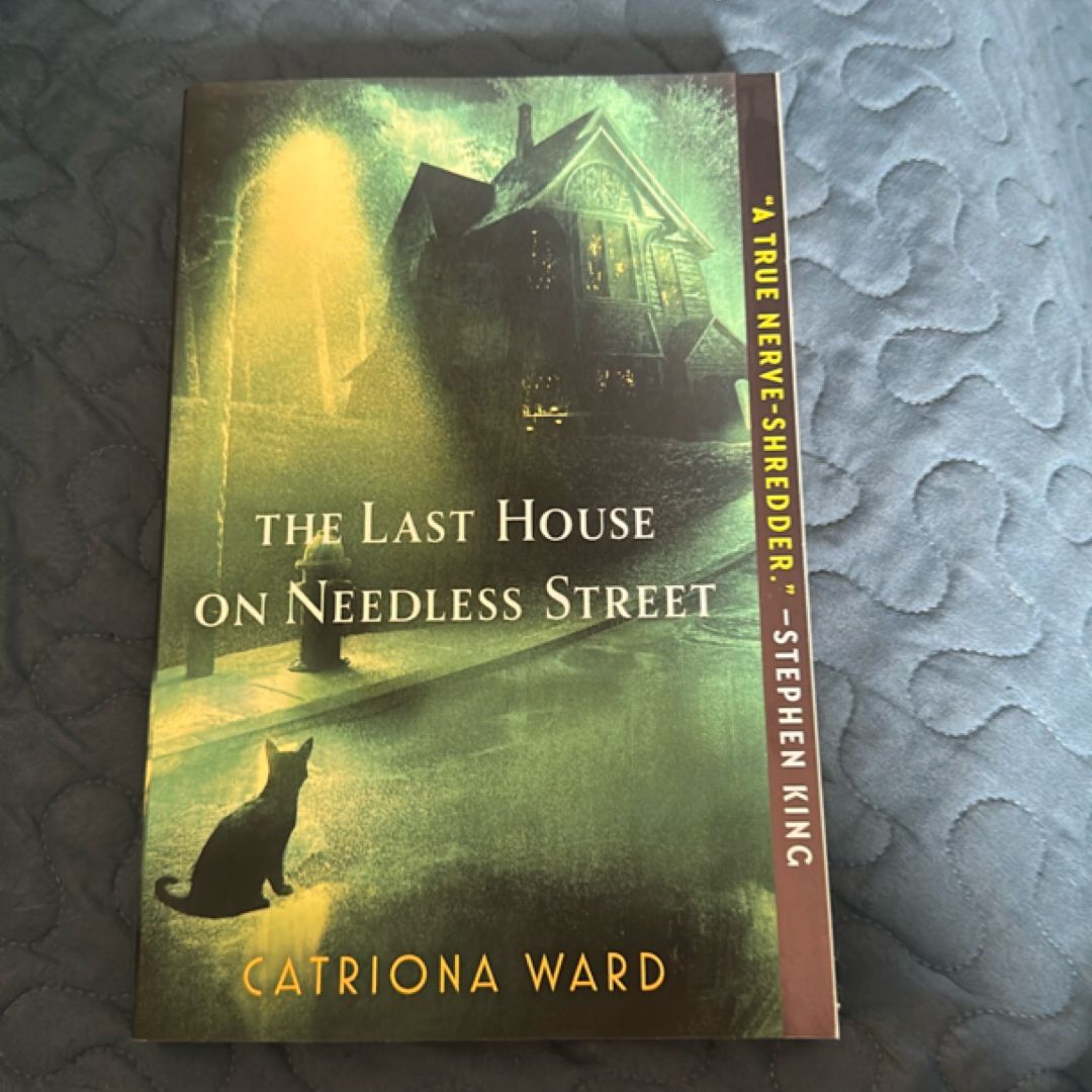 The Last House on Needless Street