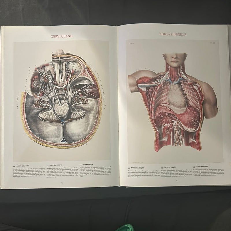 Atlas of Human Anatomy and Surgery Volume 1