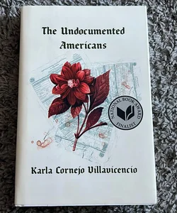 The Undocumented Americans