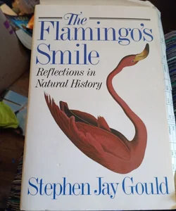 The Flamingo's Smile