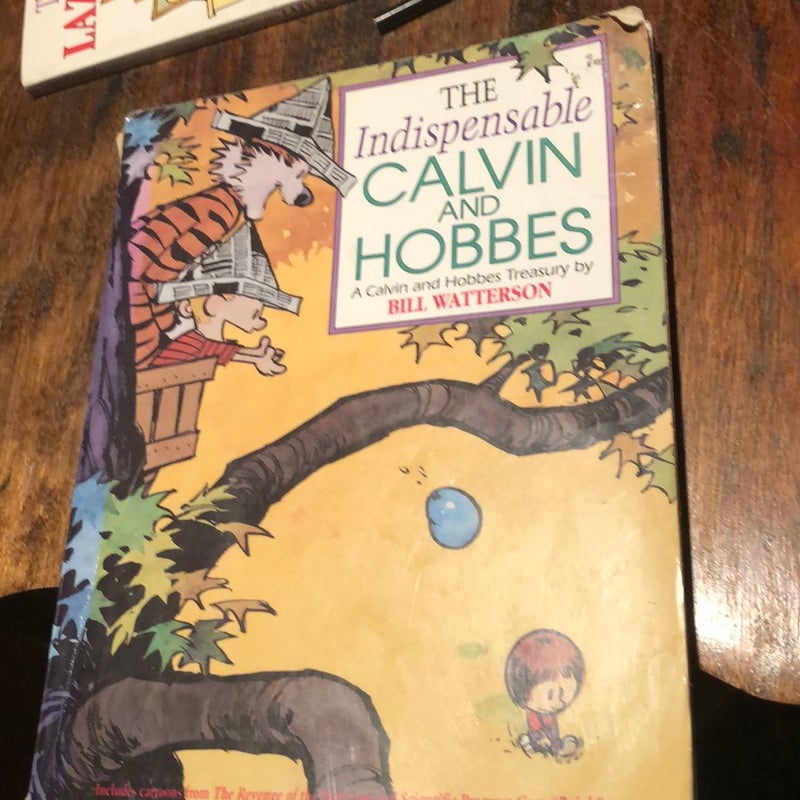 The Indispensable Calvin and Hobbes