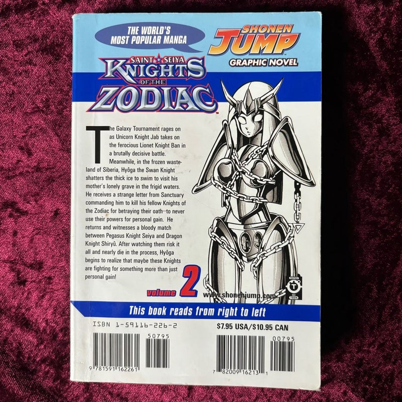 Knights of the Zodiac (Saint Seiya), Vol. 2