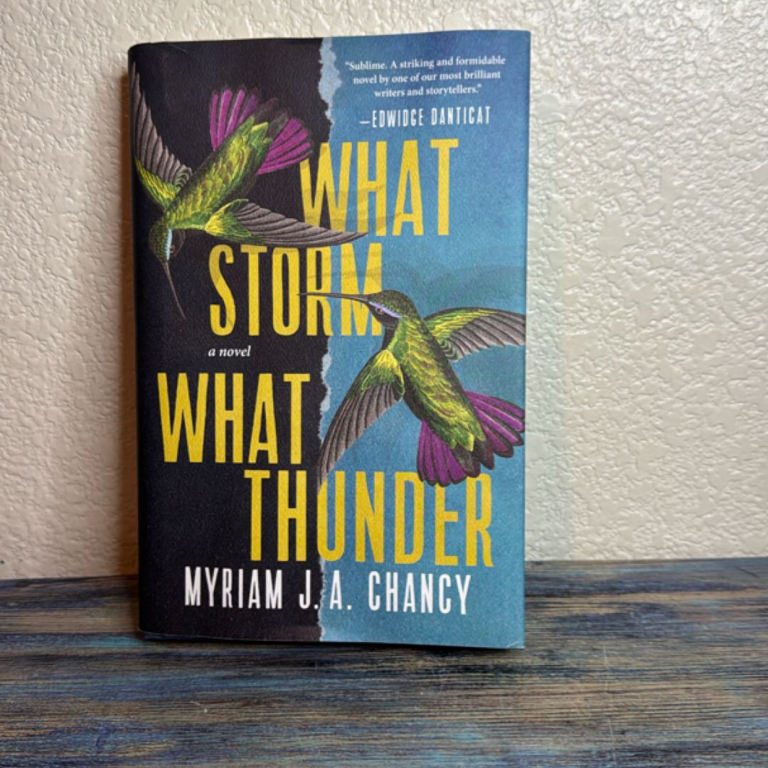 What Storm, What Thunder