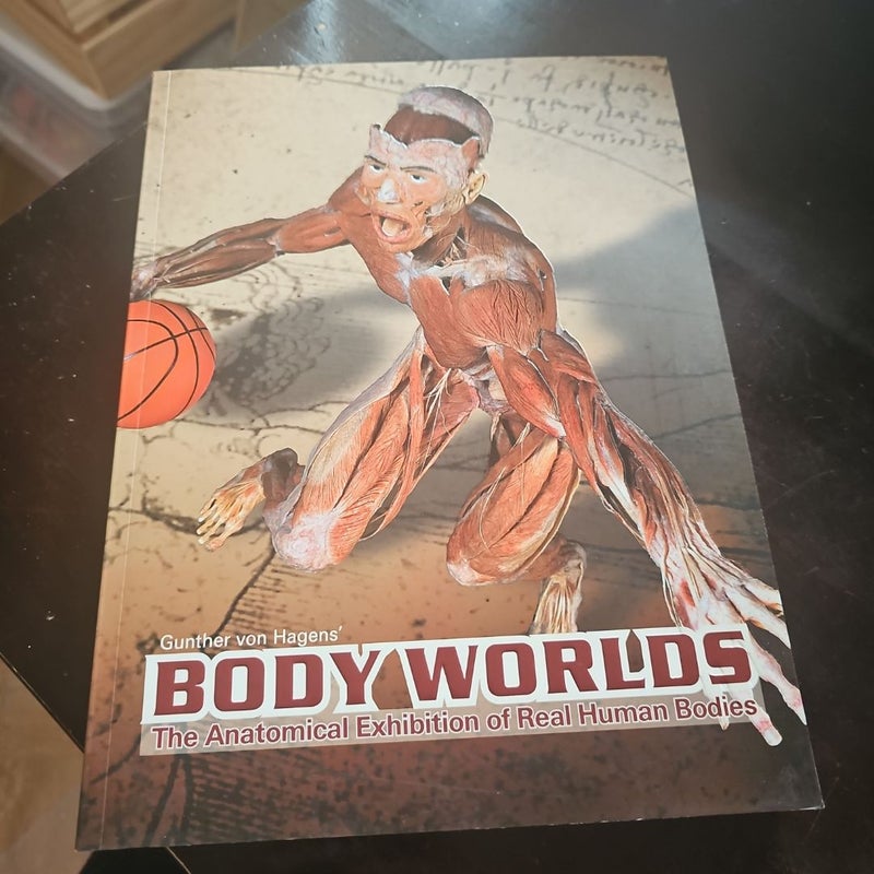 Bodyworlds