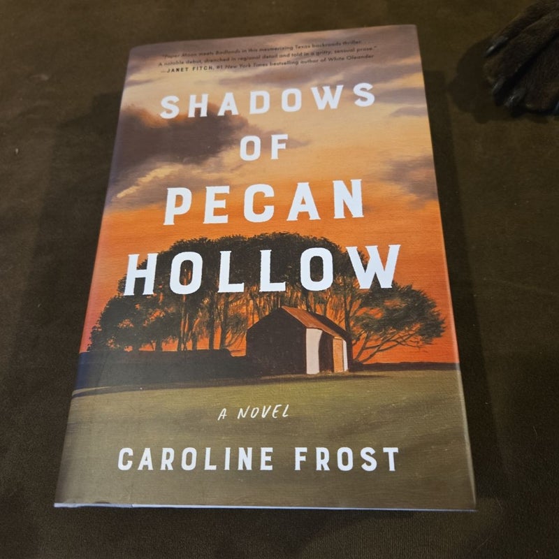 Shadows of Pecan Hollow