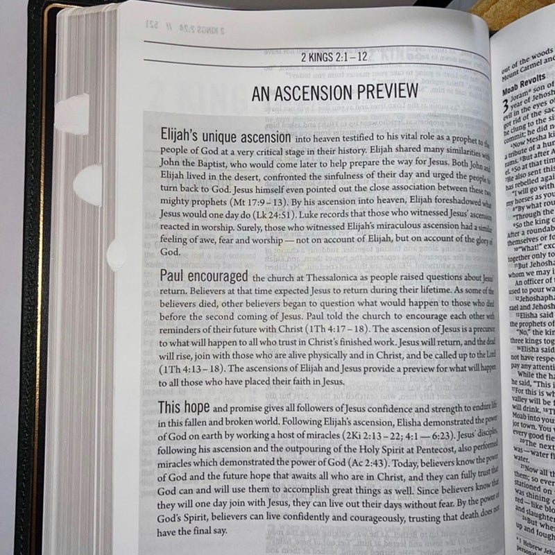 The Jesus Bible Artist Edition, NIV, Genuine Leather, Calfskin, Green, LMTD ED