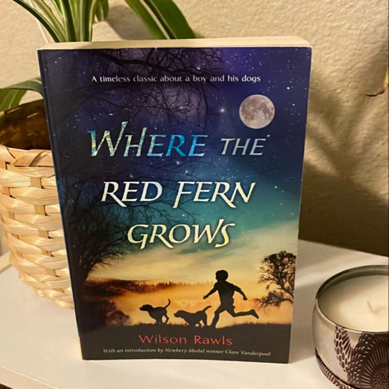 Where the Red Fern Grows