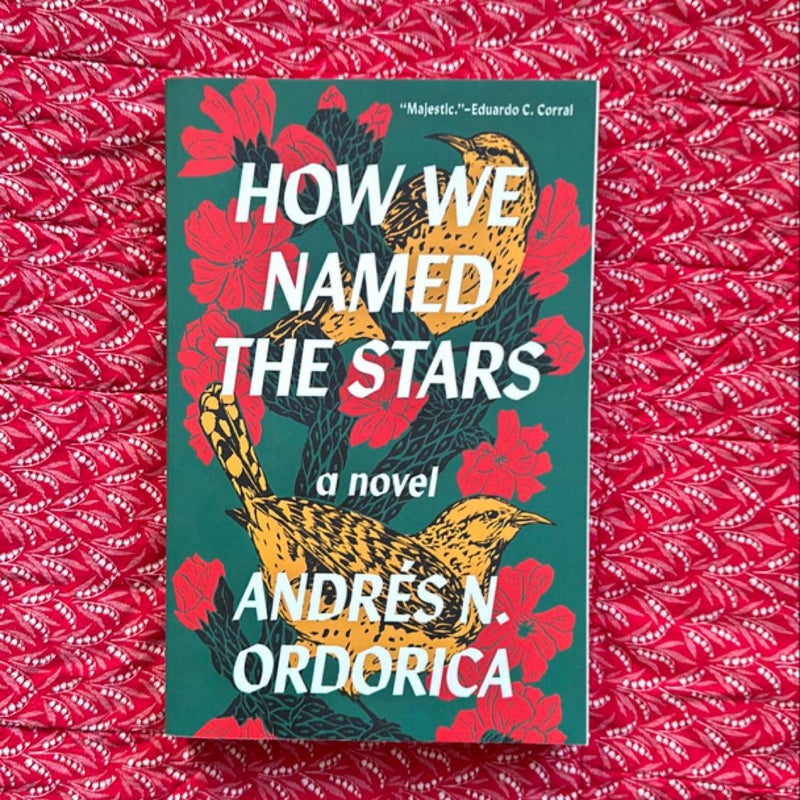 How We Named the Stars