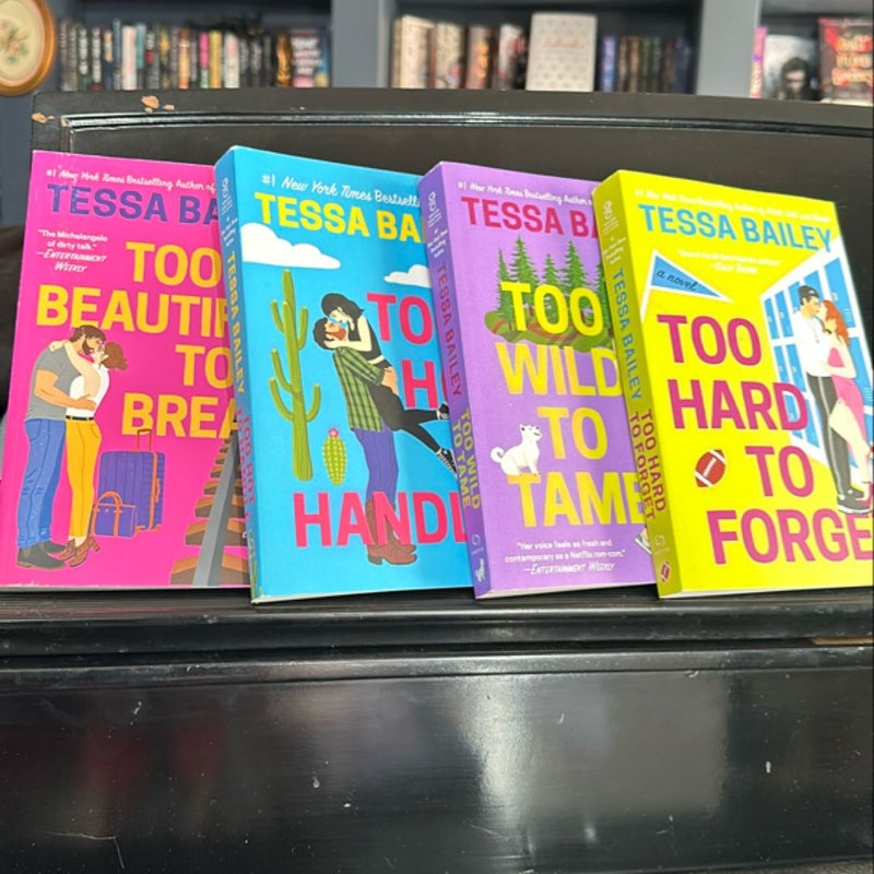 Too Beautiful to Break / 4 books