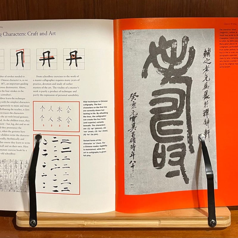 The Story of Writing. Alphabets, Hieroglyphs and Pictograms VERY GOOD Softcover