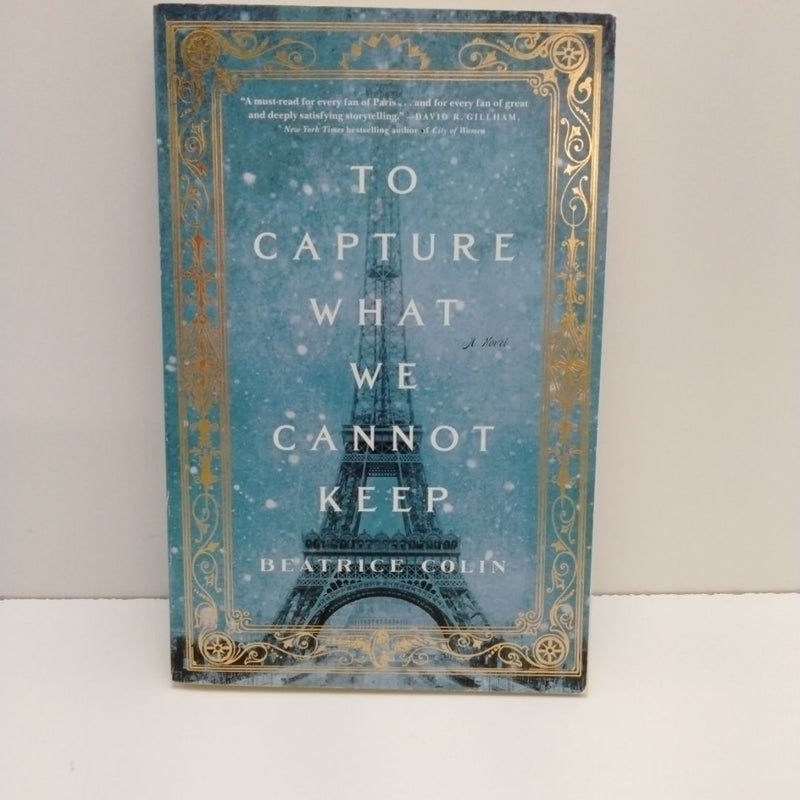 To Capture What We Cannot Keep