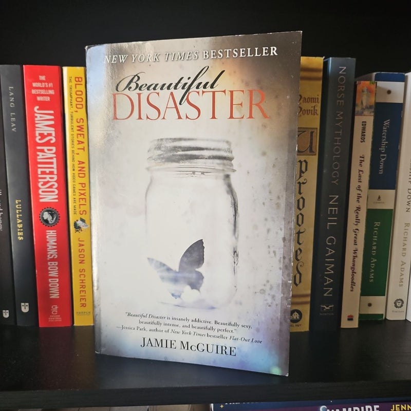 Beautiful Disaster