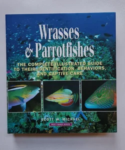 Wrasses and Parrotfishes