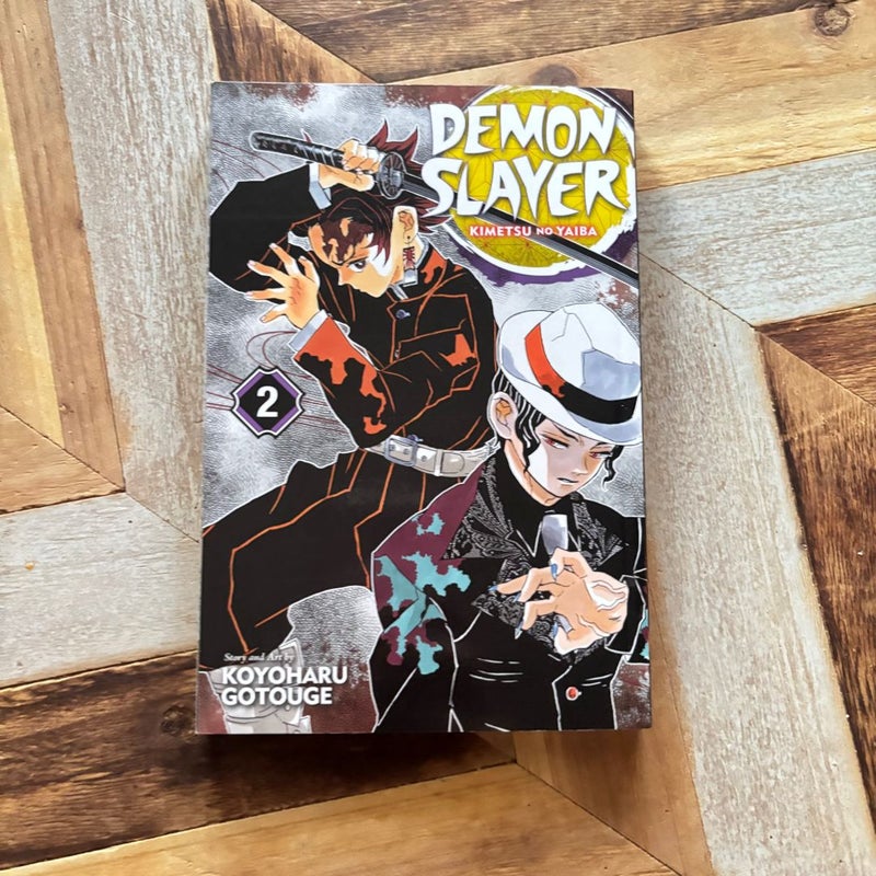 Demon Slayer: Kimetsu No Yaiba, Vol. 2