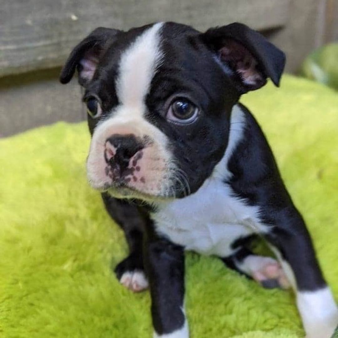 Autographed Books and More