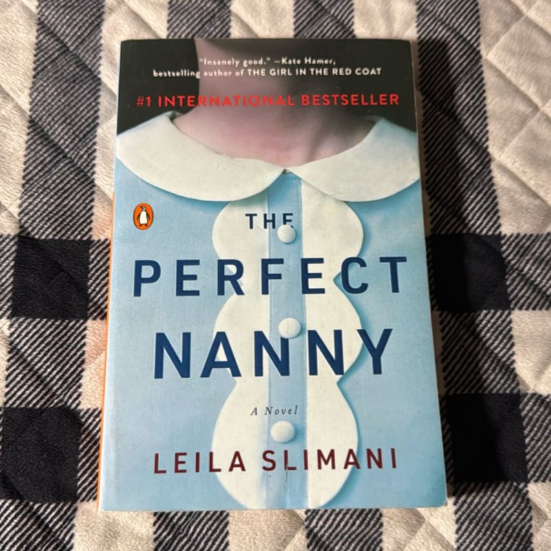 The Perfect Nanny