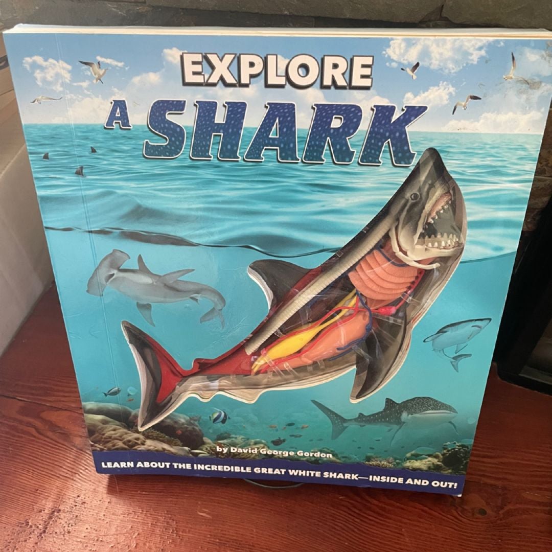 Explore a Shark