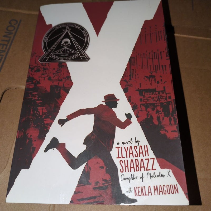 X: a Novel