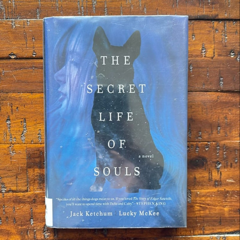 The Secret Life of Souls