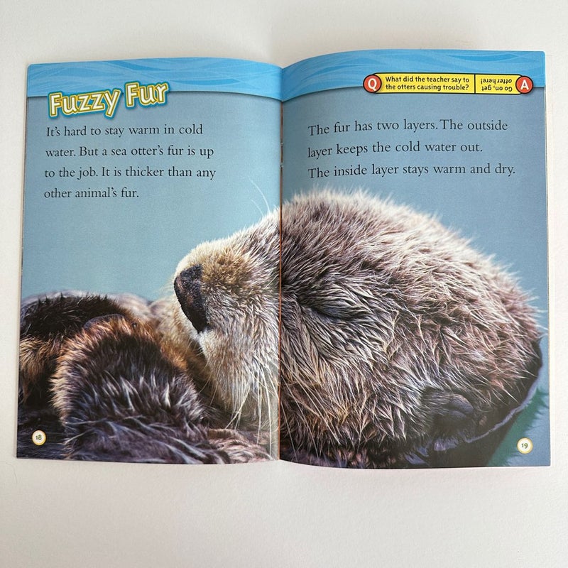 National Geographic Kids: Sea Otters, Reader