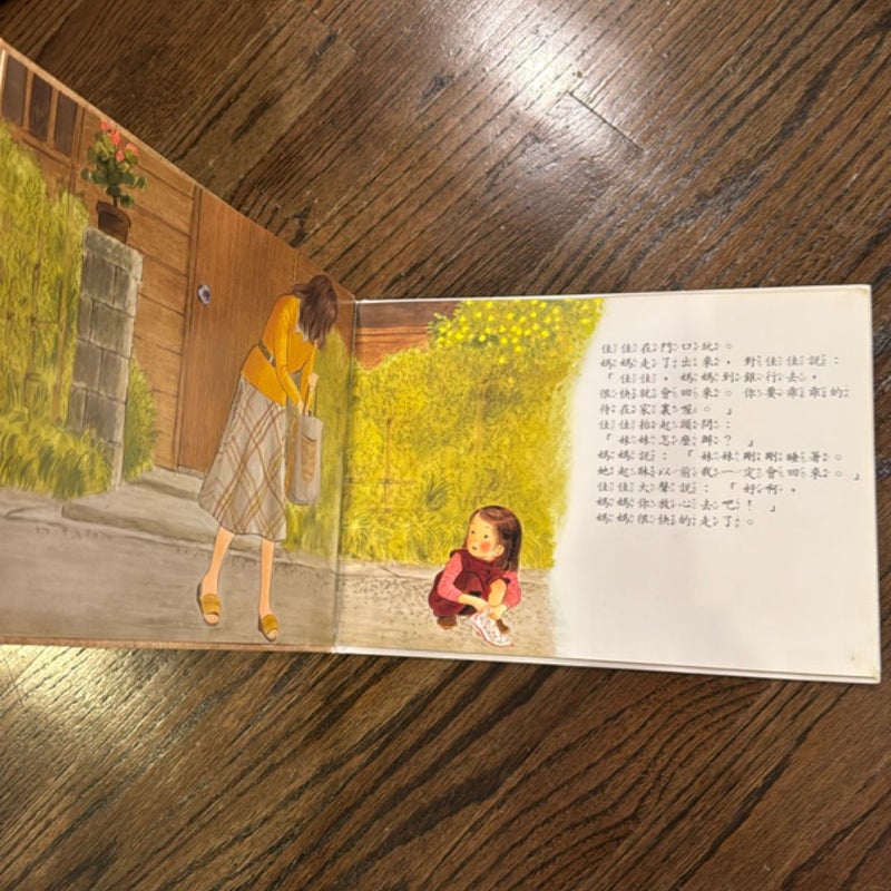 佳佳的妹妹不見了