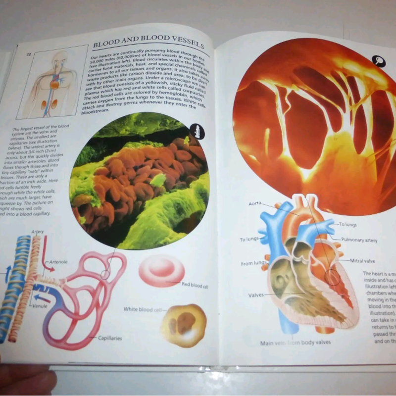 Science Through the Microscope