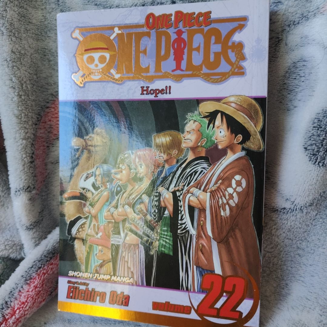 One Piece, Vol. 22