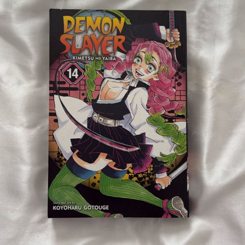 Demon Slayer: Kimetsu No Yaiba, Vol. 14